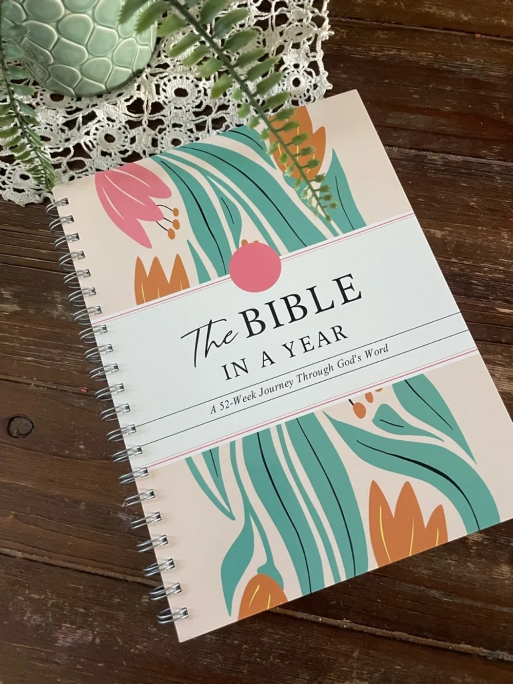 THE BIBLE IN A YEAR: A 52-WEEK JOURNEY THROUGH GOD'S WORD (SOFTCOVER)